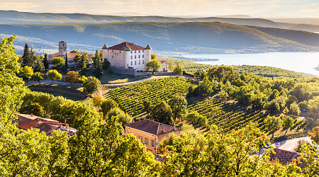 Chateau and vineyards in Provence, France Chateau and vineyards in Provence, France