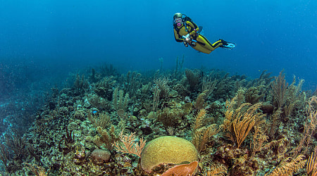 Great Blue Hole in Belize Scuba diving the Great Blue Hole in Belize