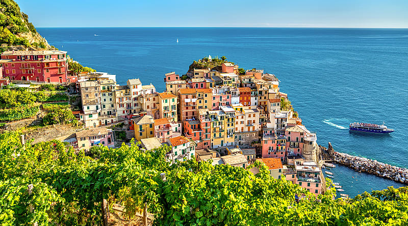 Manarola in the Cinque Terre, Italy Terraced vineyards above Manarola in the Cinque Terre, Italy