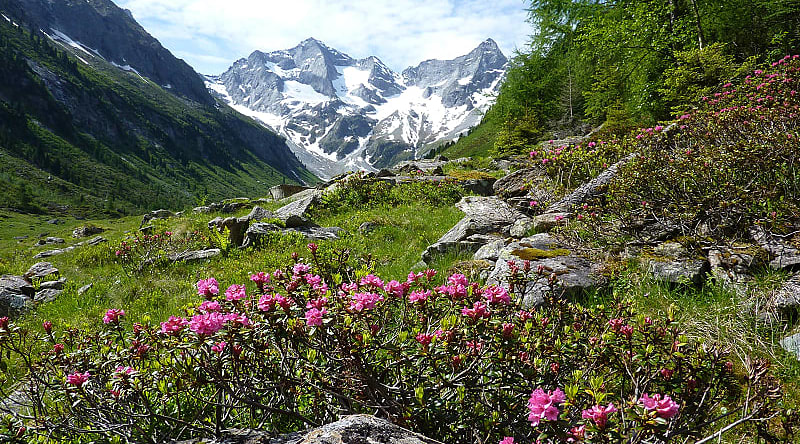 Snow capped alps in Salzburg, Austria. Snow capped alps in Salzburg, Austria.