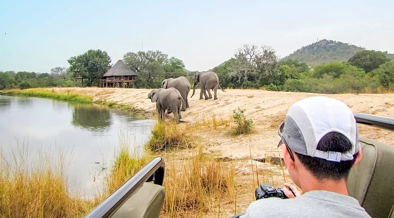 Kruger National Park, South Africa Teenage photographer on safari game drive in Kruger National Park, South Africa