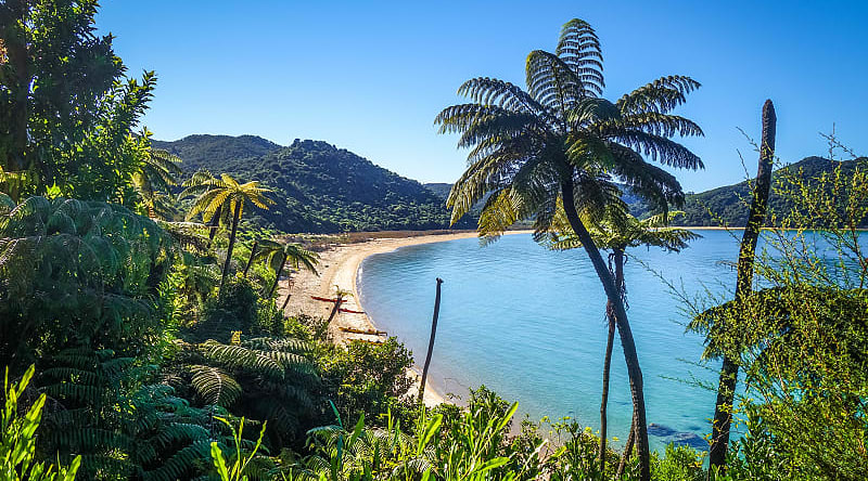 Beach at Nelson Abel Tasman National Park in New Zealand Beach at Nelson Abel Tasman National Park in New Zealand