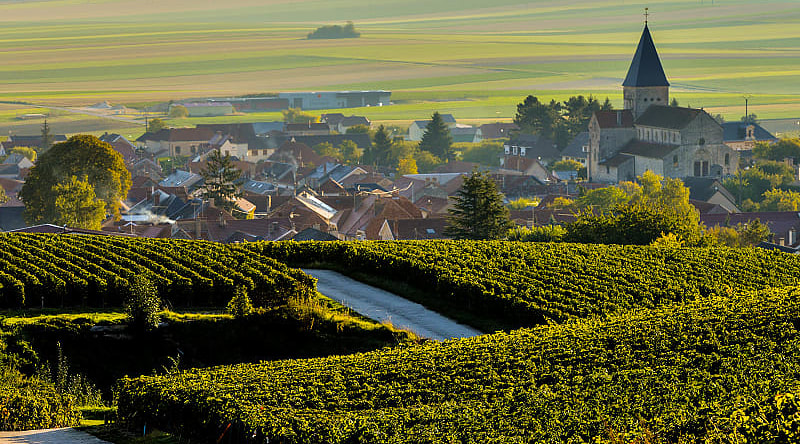 The prestigious vineyards of the Marne, nestled in the heart of the renowned Champagne region The prestigious vineyards of the Marne, nestled in the heart of the renowned Champagne region