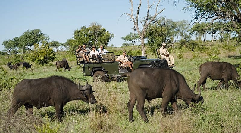Safari for seniors in Kruger National Park, South Africa Safari for seniors in Kruger National Park, South Africa