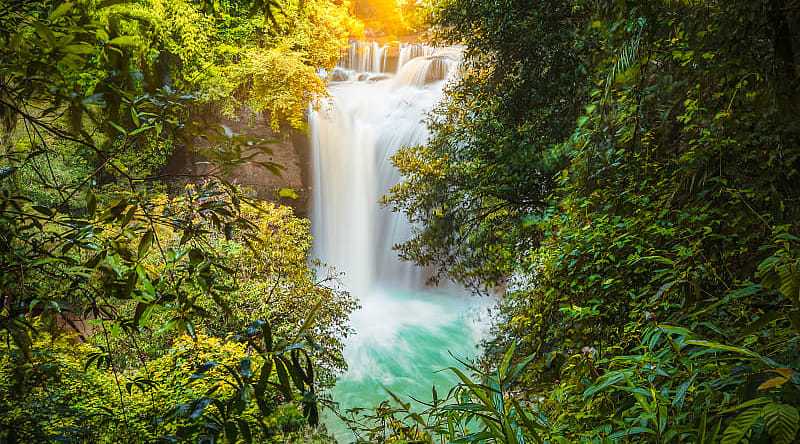 Khao Yai National Park, Thailand Khao Yai National Park, Thailand