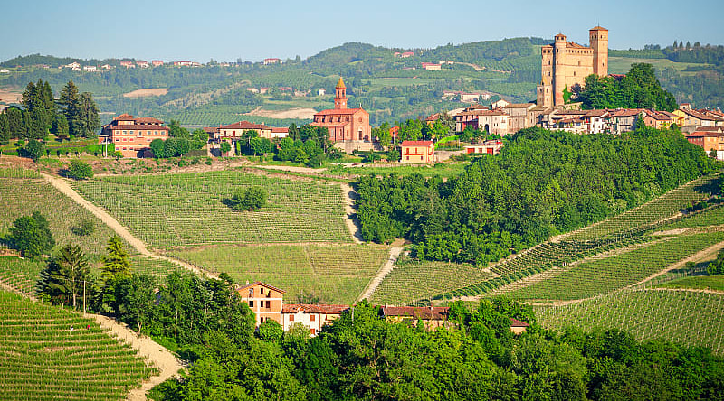 Vineyards surround the comune of Serralunga d'Alba in the Piedmont region of Italy Vineyards surround the comune of Serralunga d'Alba in the Piedmont region of Italy