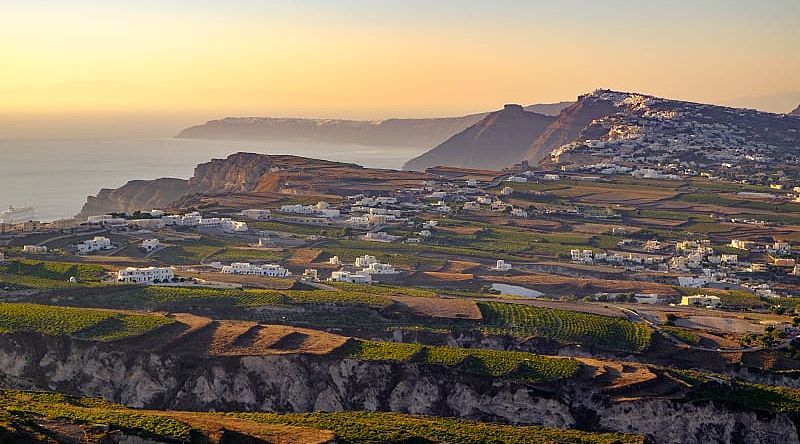 Vineyards and countryside on Santorini island in Greece