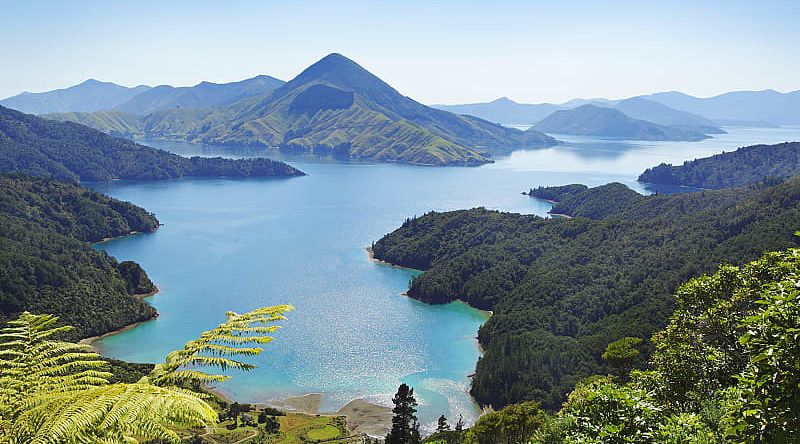 Aerial view of Malborough Sounds in New Zealand