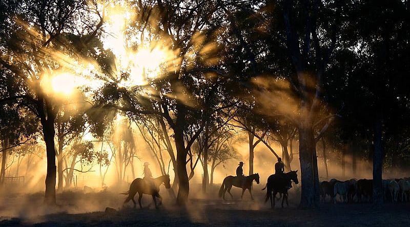 Family at a cattle station in Queensland, Australia