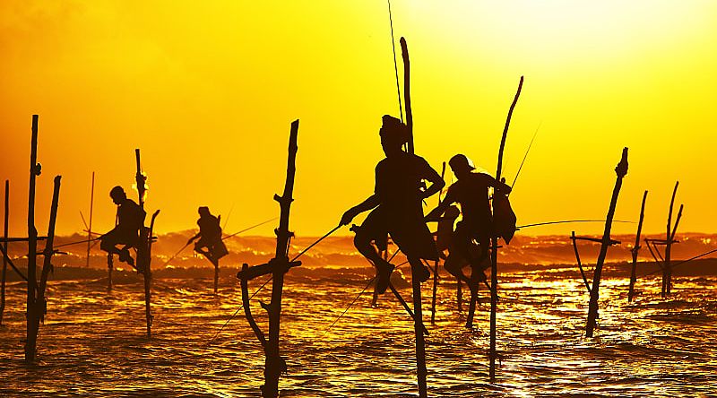 Silhouettes of the traditional fishermen at the sunset near Galle in Sri Lanka Silhouettes of the traditional fishermen at the sunset near Galle in Sri Lanka