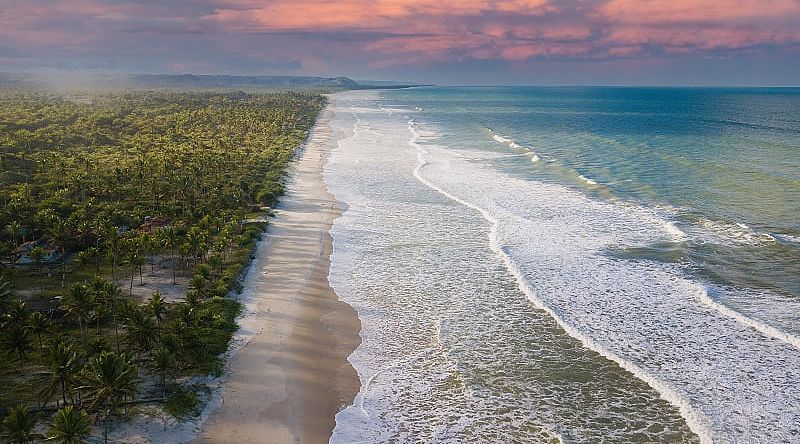 Deserted beach with coconut trees in Ilhéus on the coast of Bahia Brazil