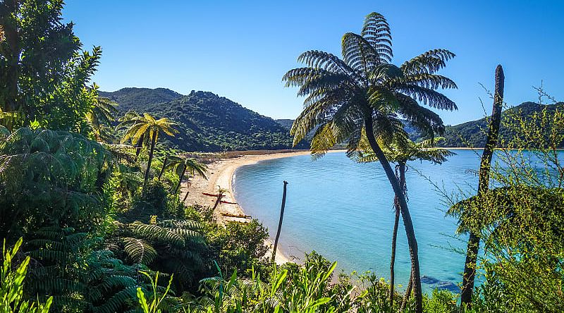 Beach at Nelson Abel Tasman National Park in New Zealand 