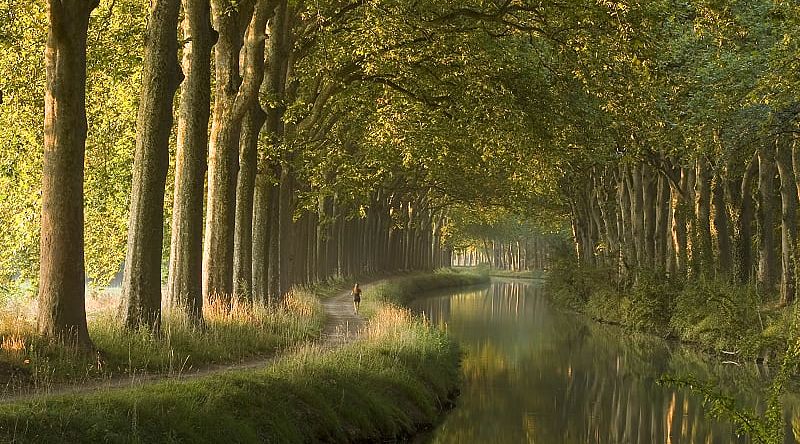 Morning at Canal du Midi in Toulouse, France