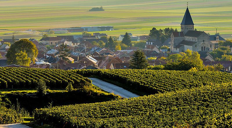 The prestigious vineyards of the Marne, nestled in the heart of the renowned Champagne region The prestigious vineyards of the Marne, nestled in the heart of the renowned Champagne region