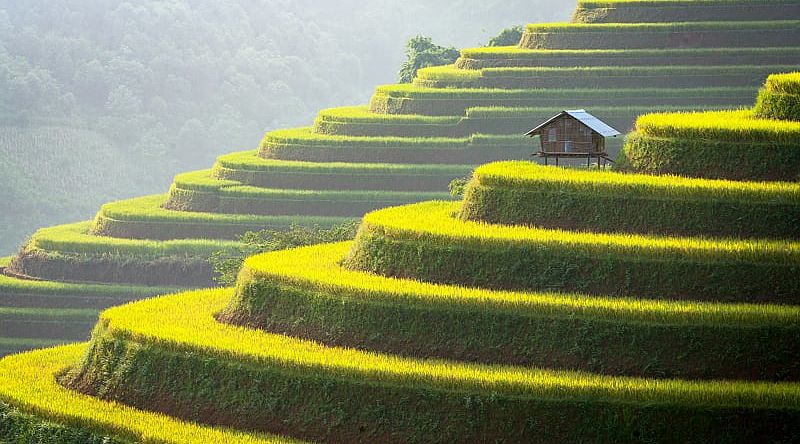 Sapa valley at sunset in Vietnam Sapa valley at sunset in Vietnam