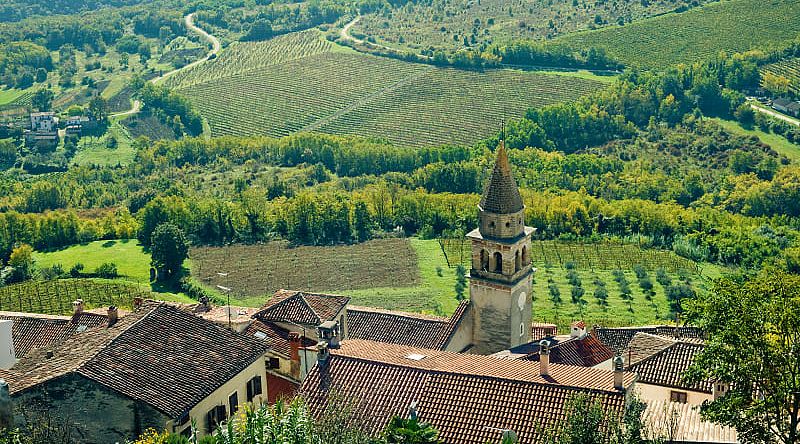 Medieval Motovun surrounded by vineyards in Croatia