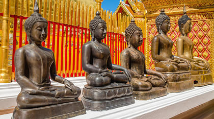 Buddha statues at a temple in Thailand