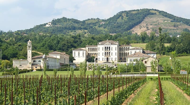 Vineyards of Rinaldi Barbini near Asolo, Veneto Italy Vineyards of Rinaldi Barbini near Asolo, Veneto Italy