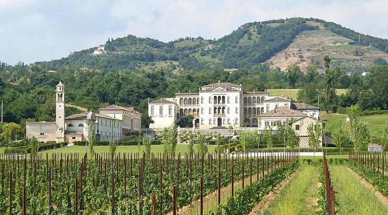 Vineyards of Rinaldi Barbini near Asolo, Veneto Italy Vineyards of Rinaldi Barbini near Asolo, Veneto Italy