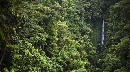 Waterfall in the rainforest, Costa Rica