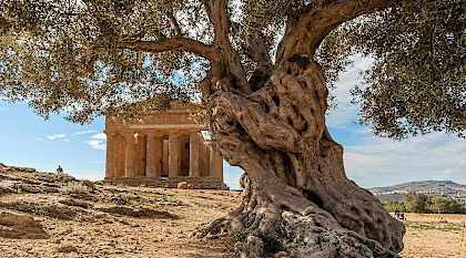 Agrigento in Sicily, Italy