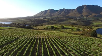 Cape to Kruger: Classic Winelands, Cape Town & Sabi Sands Safari
