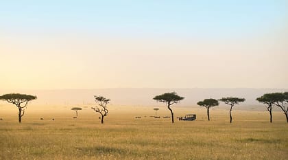  Game drive on the sweeping savanna with acacia trees in the Serengeti