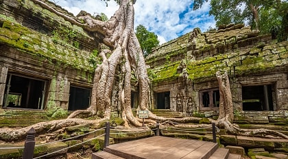 Ta Prohm temple in Krong Siem Reap, Cambodia