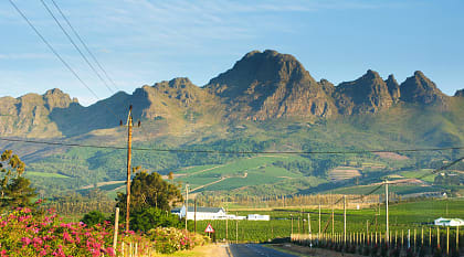 Mountain near Stellenbosch in South African