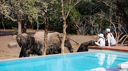 Five-Star Zimbabwe Safari For Active Families