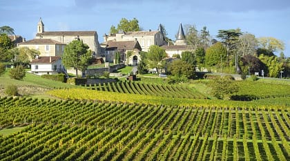 Vineyards of Saint Emilion in Bordeaux, France.