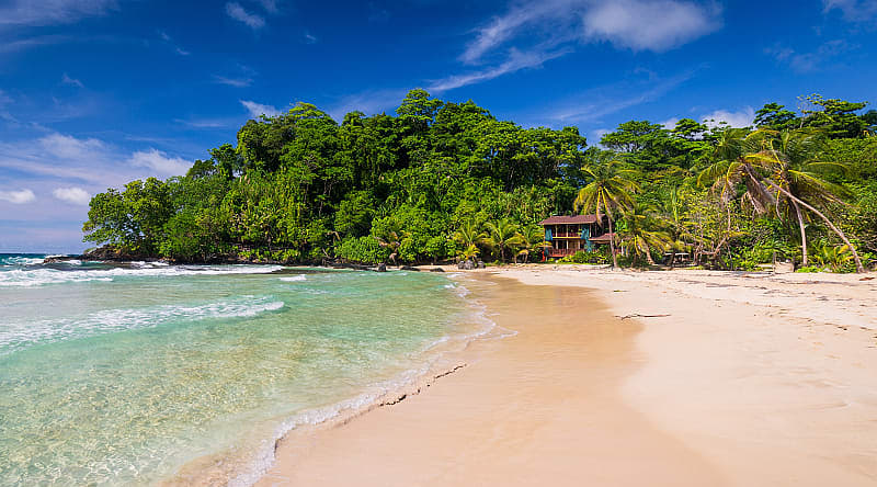 Tropical beach in Bocas del Toro in Panama Tropical beach in Bocas del Toro in Panama