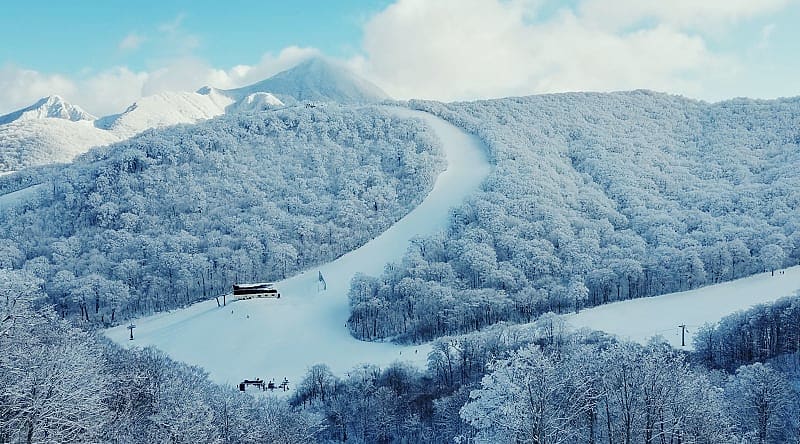 Ski resort in Japan Ski resort in Japan