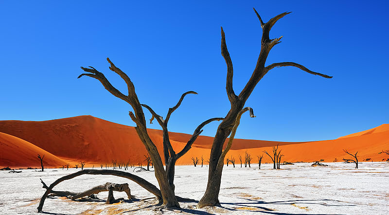 Deadvlei in Namib-Naukluft National Park of Namibia Deadvlei in Namib-Naukluft National Park of Namibia