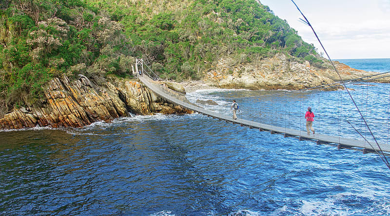 Bridge in Tsitsikamma National Park, South Africa. Bridge in Tsitsikamma National Park, South Africa.