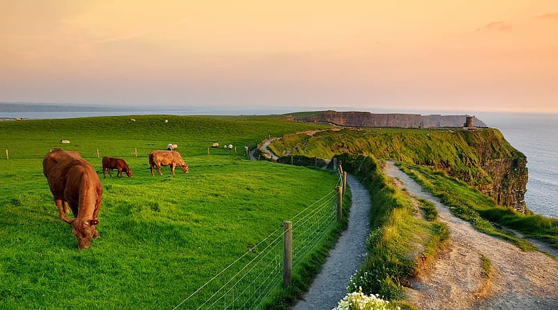 Cliffs of Moher in Ireland Cliffs of Moher in Ireland