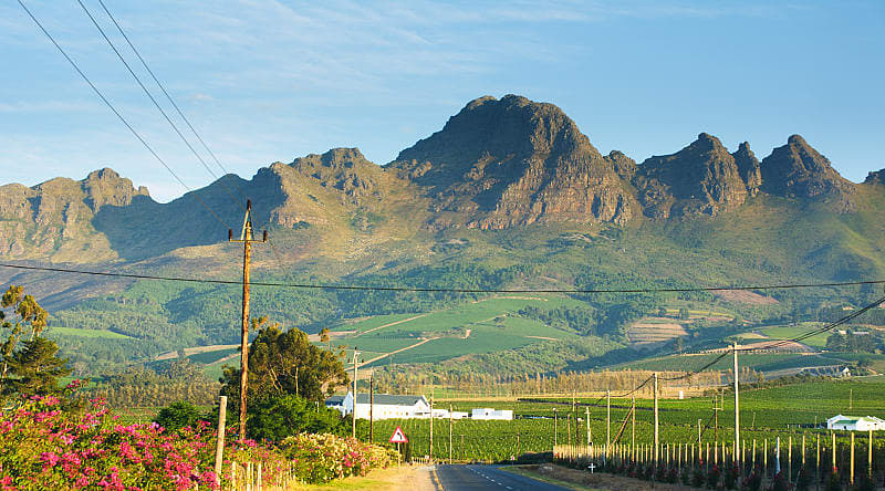Mountain near Stellenbosch in South African Mountain near Stellenbosch in South African