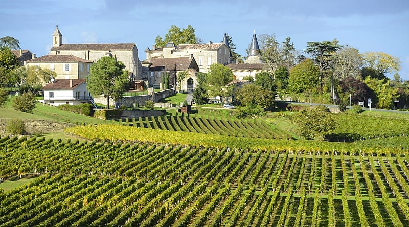 Vineyards of Saint Emilion in Bordeaux, France. Vineyards of Saint Emilion in Bordeaux, France.