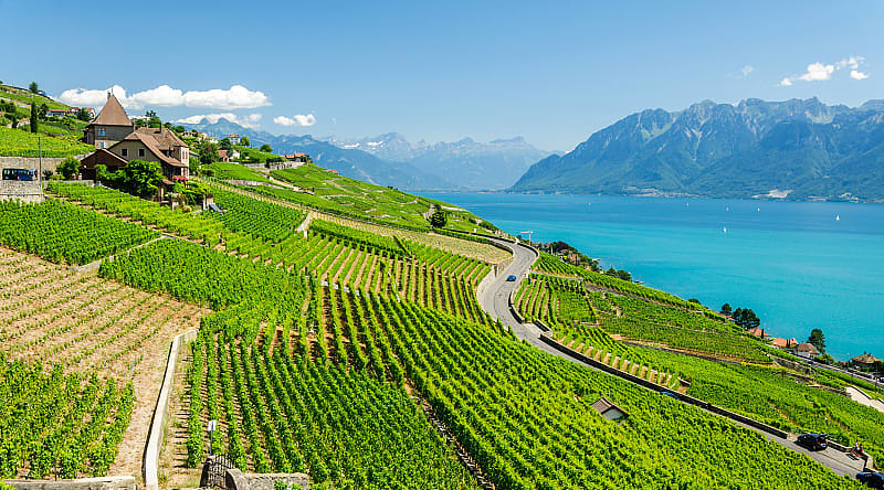 Geneva lake in famous Lavaux wine region, Switzerland Geneva lake in famous Lavaux wine region, Switzerland