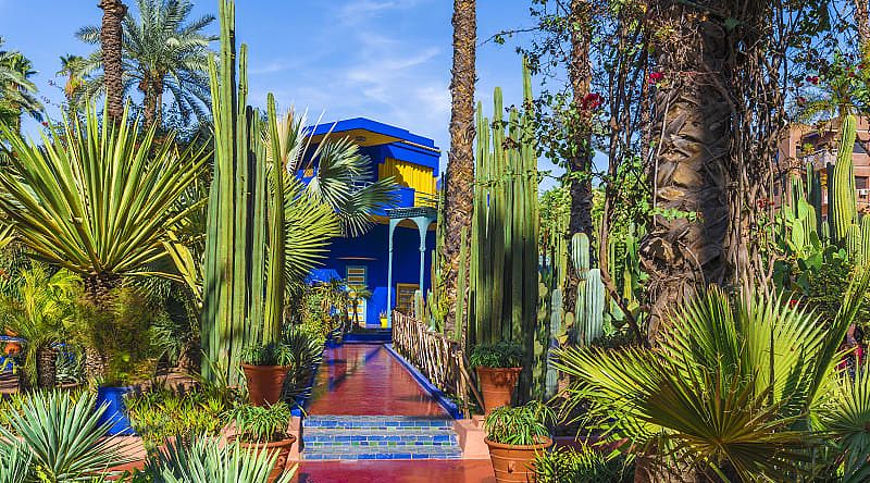 Le Jardin Majorelle, amazing tropical garden in Marrakech, Morocco.