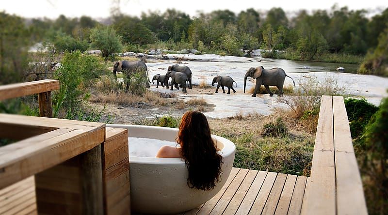 Woman bathing at private suite with river view of elephant crossing