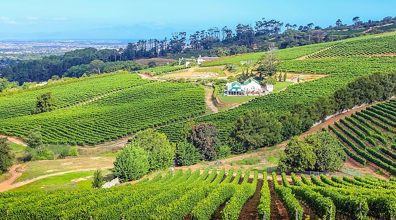 Wineland countryside in South Africa