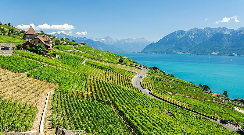 Geneva lake in famous Lavaux wine region, Switzerland