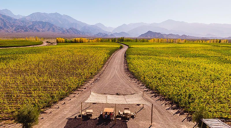 Vineyards and the Andes Mountains in Mendoza, Argentina