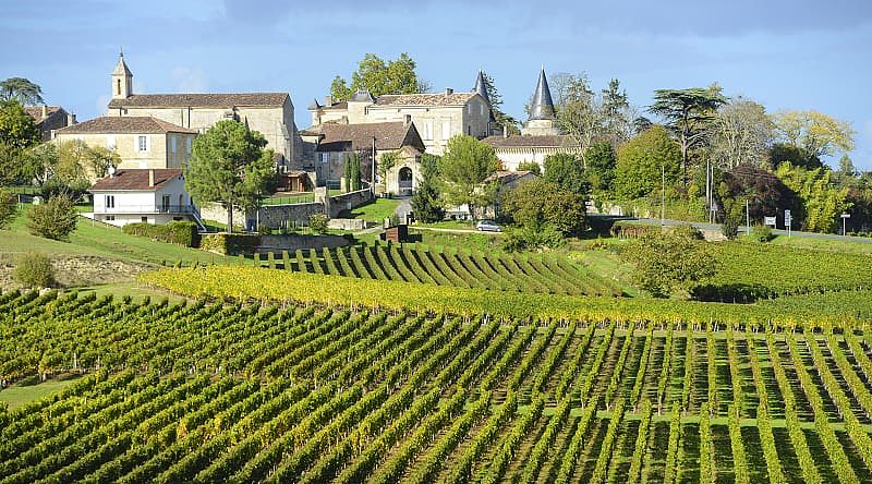 Vineyards of Saint Emilion in Bordeaux, France.