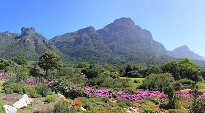Kirstenbosch Botanic Garden, Cape Town, South Africa.