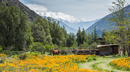 Cajon del Maipo Valley in Chile