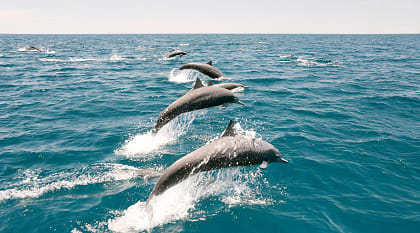 Costa Rica for Families Vacation