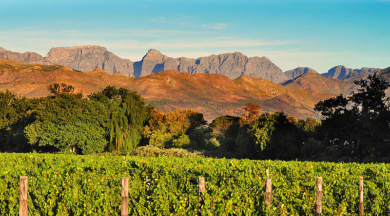 Stellenbosch winelands in South Africa Stellenbosch winelands in South Africa