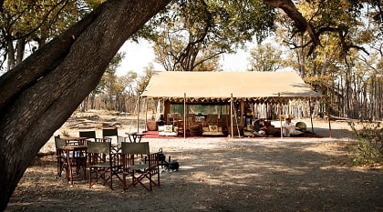 Selinda Explorer's Camp in Botswana